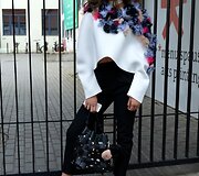 Paula. Zebra katz konkursas