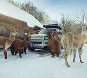 &bdquo;Land Rover Defender 75th Edition&ldquo;