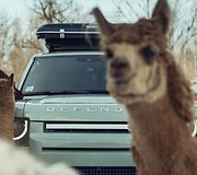 &bdquo;Land Rover Defender 75th Edition&ldquo;