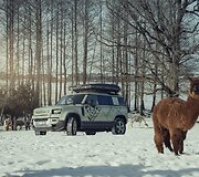 &bdquo;Land Rover Defender 75th Edition&ldquo;