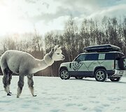 &bdquo;Land Rover Defender 75th Edition&ldquo;