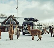 &bdquo;Land Rover Defender 75th Edition&ldquo;