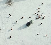&bdquo;Land Rover Defender 75th Edition&ldquo;