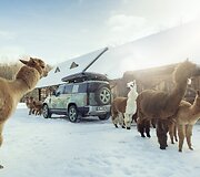 &bdquo;Land Rover Defender 75th Edition&ldquo;