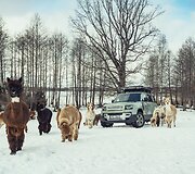 &bdquo;Land Rover Defender 75th Edition&ldquo;