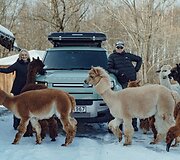 &bdquo;Land Rover Defender 75th Edition&ldquo;