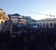 Milanos Ja&scaron;inskytės vie&scaron;nagė Graikijoje