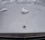 Pauliaus Bagdanavičiaus automobilis su nuluptu ženkliuku