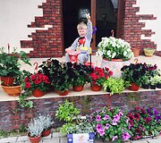 Gėlėmis i&scaron;puo&scaron;ti Natalijos Bunkės namai Klaipėdoje