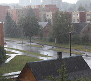 Liūtis