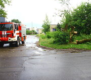 Liūties padariniai Panevėžyje