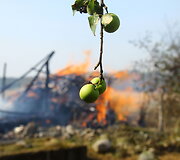 Gaisro vietoje