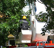 Gaisro vietoje