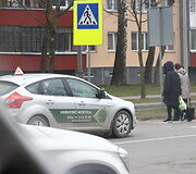 Panevėžio policija fiksavo pėsčiųjų praleidimo tvarkos pažeidimus