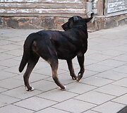 Įvykio vietoje