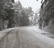 Avarijos vietoje