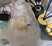 Į Alytaus kalėjimą buvo tiekiamas heroinas