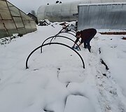 Sniegas nuklojo Reginos Valiukienės ūkį