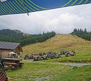 &bdquo;ATV Turizmo&ldquo; stovykla Rumunijoje