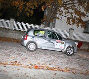 L.Diržininkas ralyje &bdquo;Saaremaa 2013&ldquo;