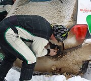 Uždaras parkas