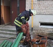 Gaisro vietoje