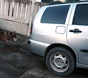&bdquo;Seat Cordoba Vario&ldquo;
