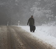 Snieguotas 2025 m. lapkričio 17-osios rytas Panevėžio rajone
