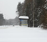 Panevėžio miestą ir rajoną nuklojo sniegas