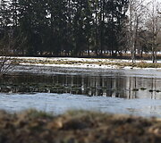 Patvinusios upės Panevėžio mieste ir rajone