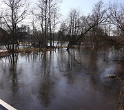 Patvinusios upės Panevėžio mieste ir rajone
