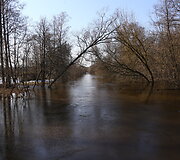 Patvinusios upės Panevėžio mieste ir rajone