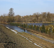Patvinusios upės Panevėžio mieste ir rajone