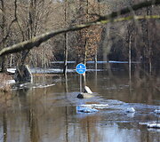 Patvinusios upės Panevėžio mieste ir rajone
