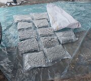 Kriminalistų rankose įspūdingi kiekiai kanapių