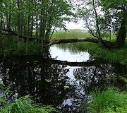 Audros padariniai Sudeikių miestelyje