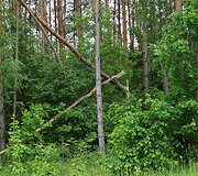 Audros padariniai Kukti&scaron;kėse