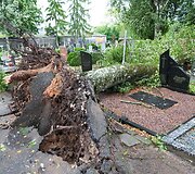 Audros padariniai Panevėžio kapinėse