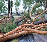 Audros padariniai Panevėžio kapinėse