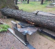 Audros padariniai Panevėžio kapinėse