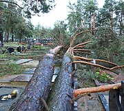 Audros padariniai Panevėžio kapinėse