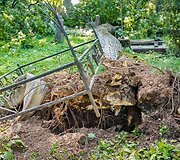 Audros padariniai Panevėžio kapinėse