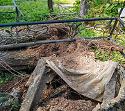 Audros padariniai Panevėžio kapinėse