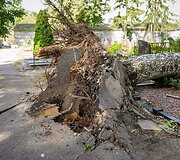 Audros padariniai Panevėžio kapinėse