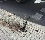 Avarijos vietoje
