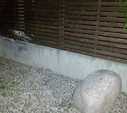 Avarijos vietoje