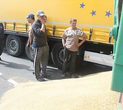 Avarijos vietoje