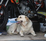 &bdquo;Motocross of Nations&ldquo; Latvijoje
