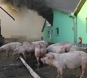 Gaisro vietoje