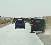Marokas -Mauritanija